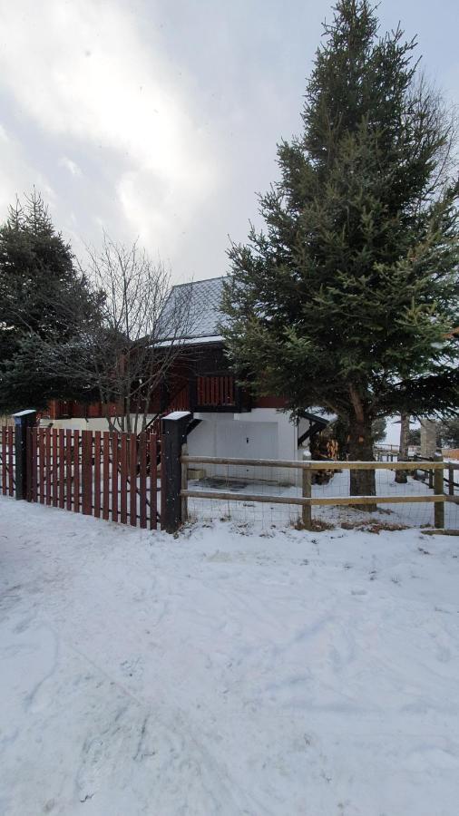 Chalet Individuel Les Sorbiers - 80M2 - Jardin - Barbecue - Wifi - Netflix - Ski & Randonnee - Pyrenees Catalanes Francaises - Eyne Exteriér fotografie