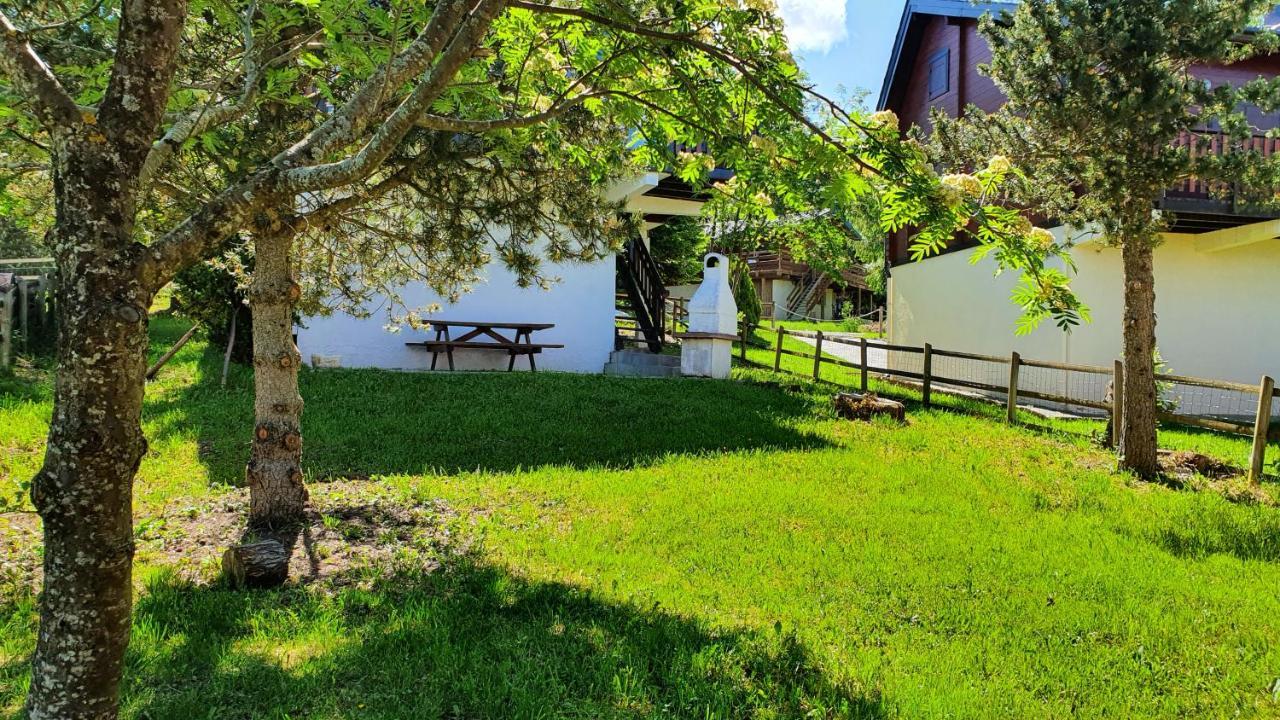 Chalet Individuel Les Sorbiers - 80M2 - Jardin - Barbecue - Wifi - Netflix - Ski & Randonnee - Pyrenees Catalanes Francaises - Eyne Exteriér fotografie